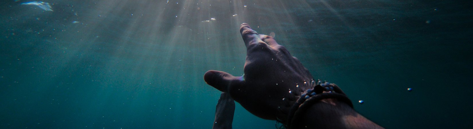 Principales noticias del 20/11/2018