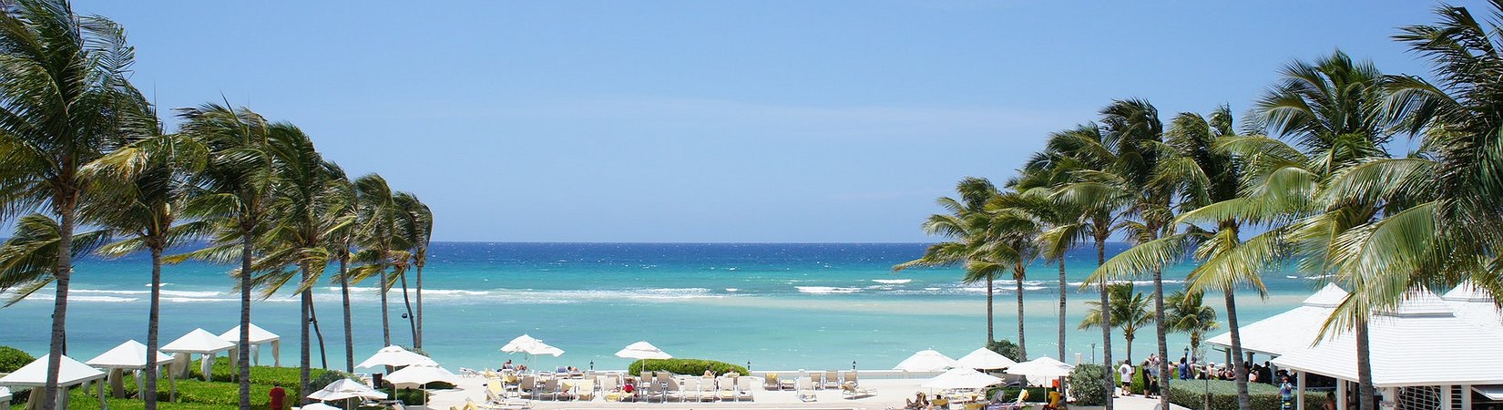 Jamaica to Pilot CBDC Next Month