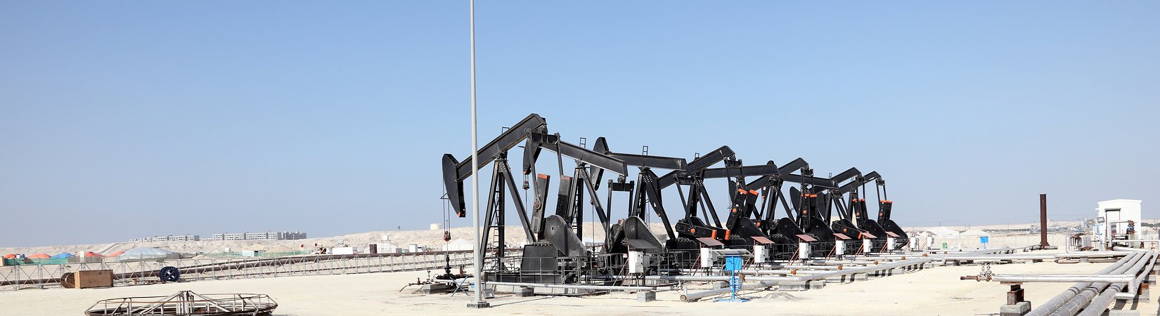 إنتاج أوبك لن يتغير حتى لو هبط النفط إلى أربعين دولاراً