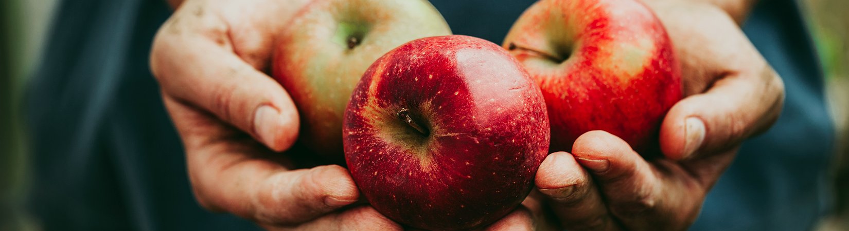 I 10 miti più diffusi sul cibo biologico