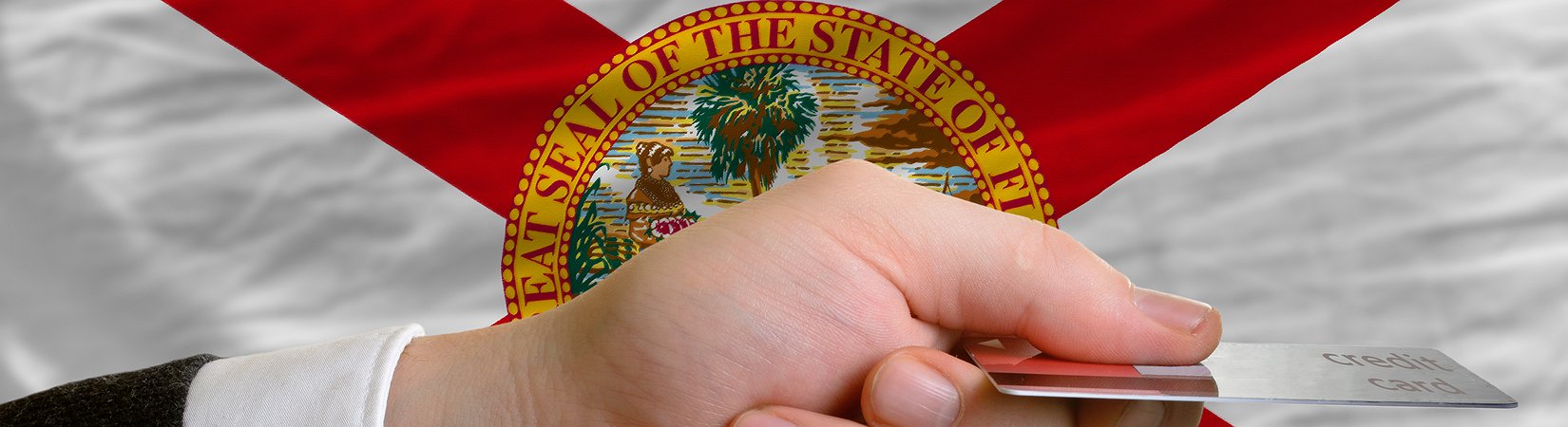 Florida Tax Collector Collaboration with BitPay for Taxation