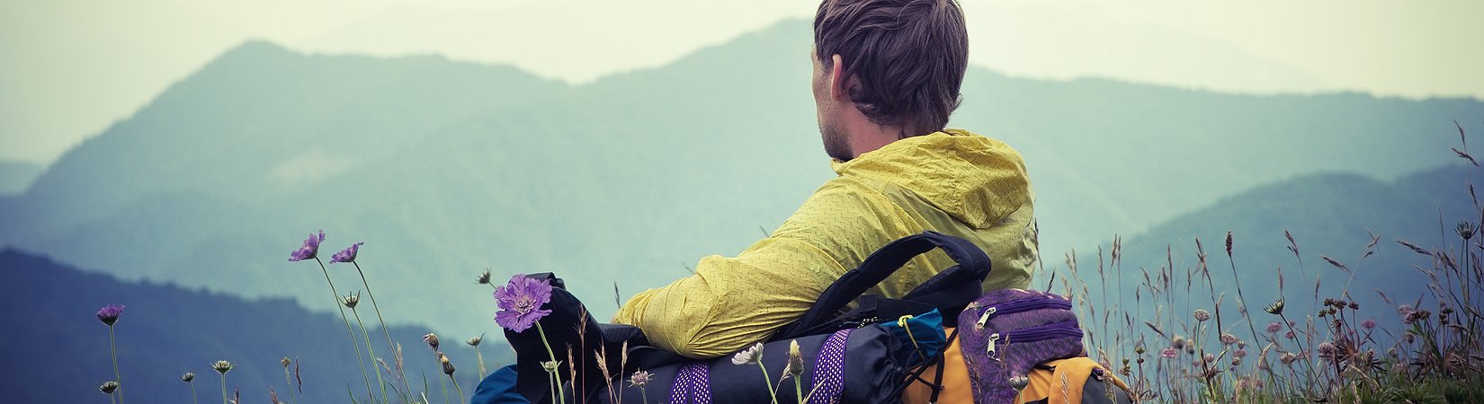 كيف تنظم شركة ناشئة في رحلاتك