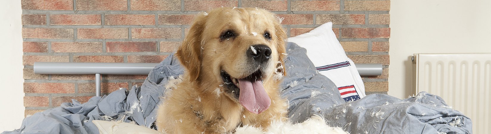 Portugal com almofada financeira para apenas 6 meses