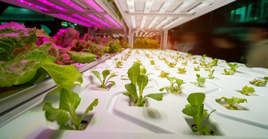 عشرة أماكن حيث يجوز إجراء الدفع بالتوكنات IOTA