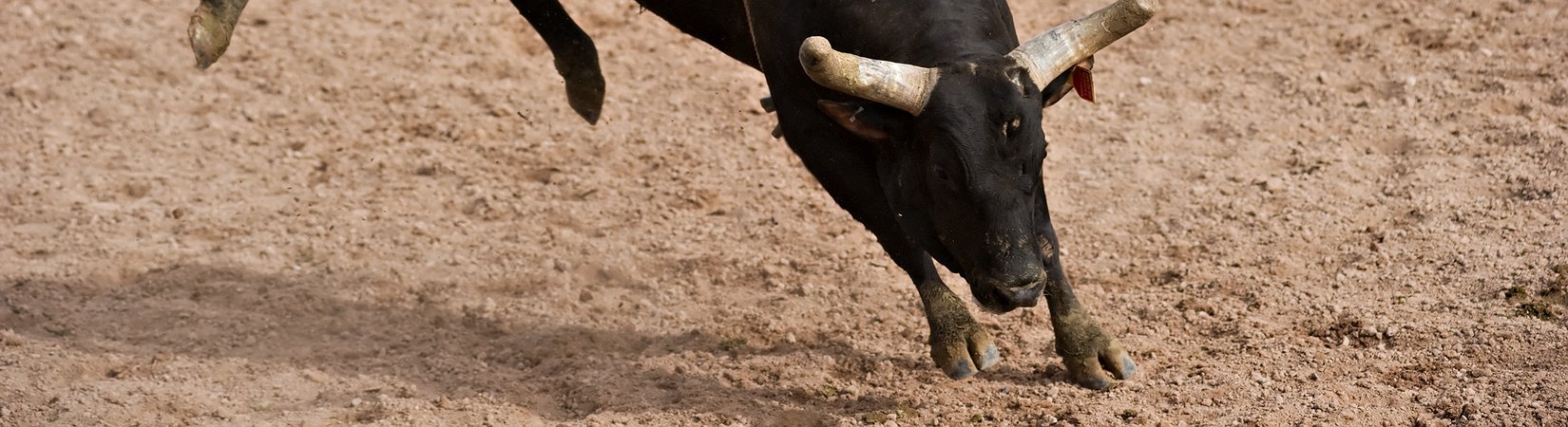 O investimento explicado de formas que fazem sentido