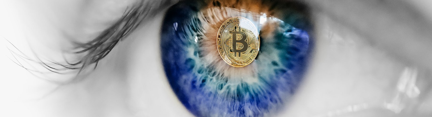 ¿Qué ha pasado este año en el mercado de las criptomonedas?