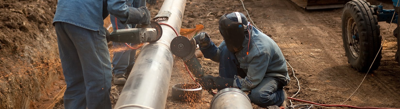 Polonia brinda apoyo a los países bálticos