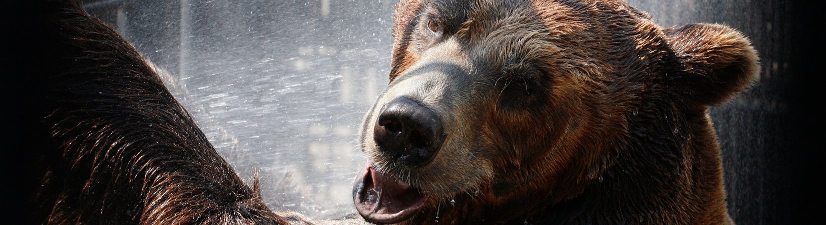 على أوبك توخي الحذر من روسيا