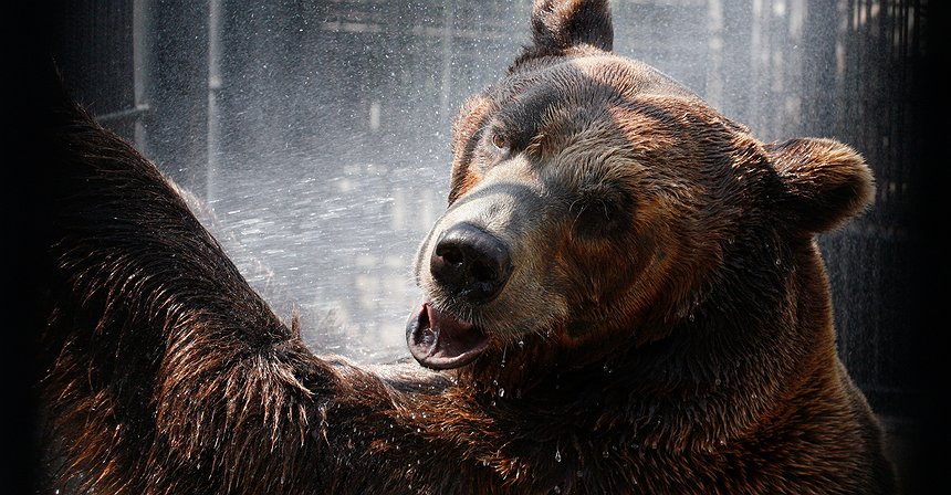 على أوبك توخي الحذر من روسيا