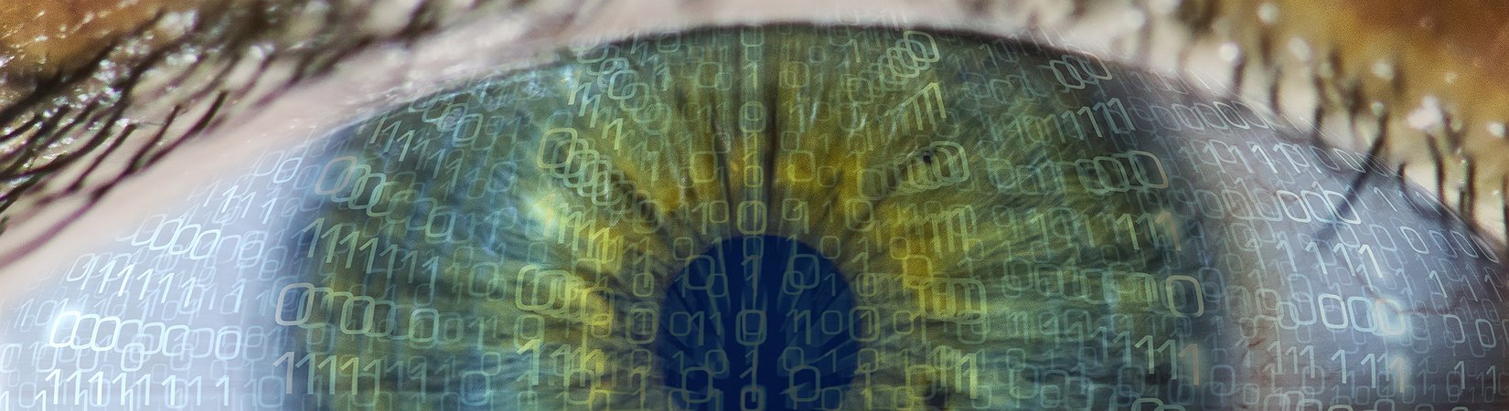 Mercato delle criptovalute: le top news del 5/11/2018