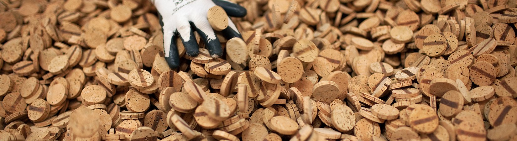 O regresso da cortiça portuguesa