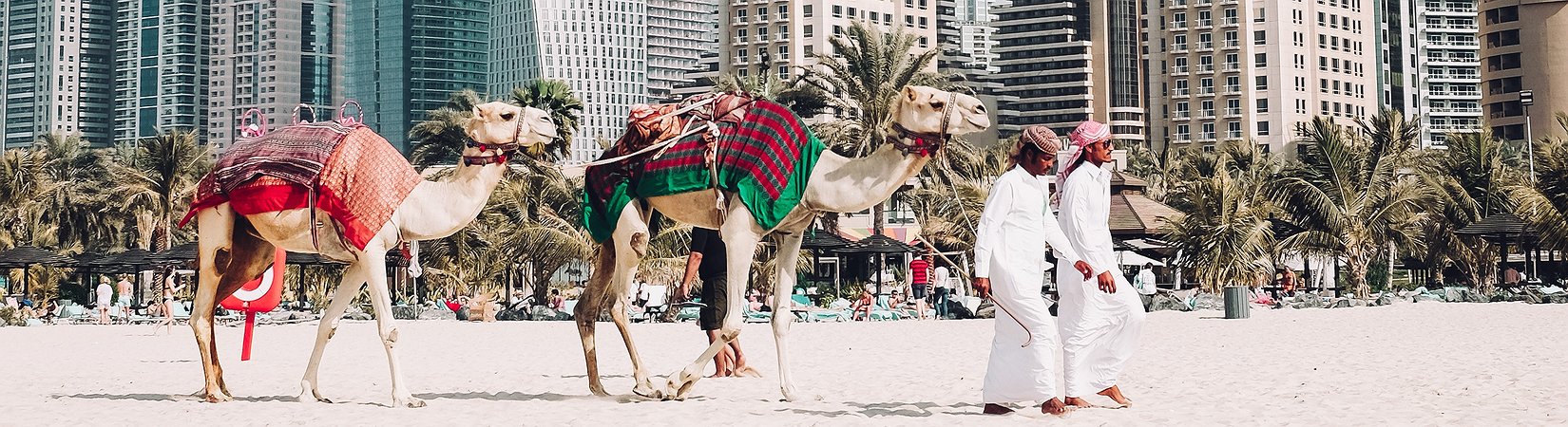 Principales noticias del 23/11/2018