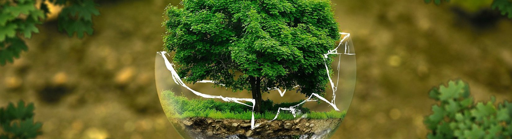 SkyBridge adquiere 38.500 toneladas de compensaciones de carbono