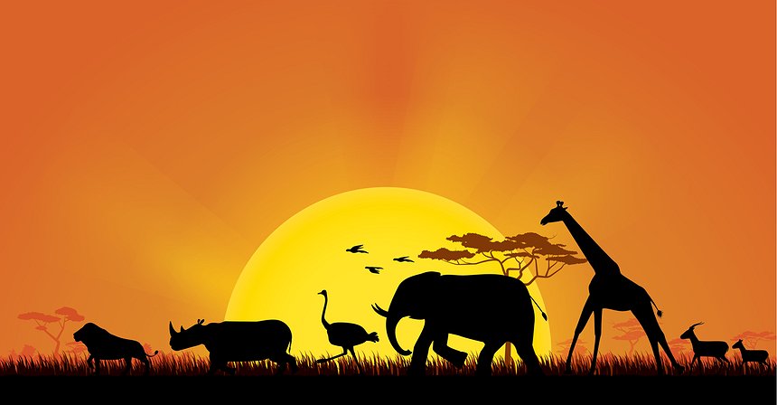 Crypto Adventures in Africa