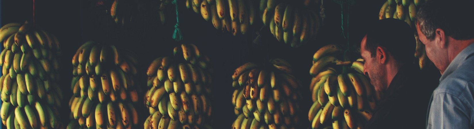 ماذا تقول المشاريع الخطلة عن مستقبل البلوكشين