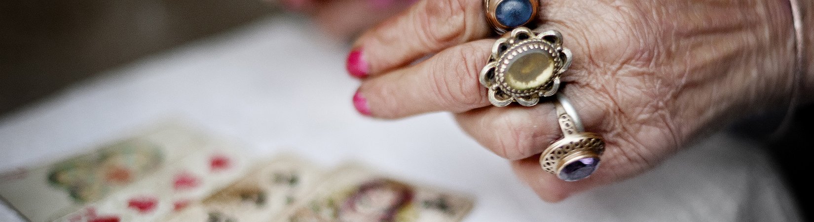 التكهنات والعائدات