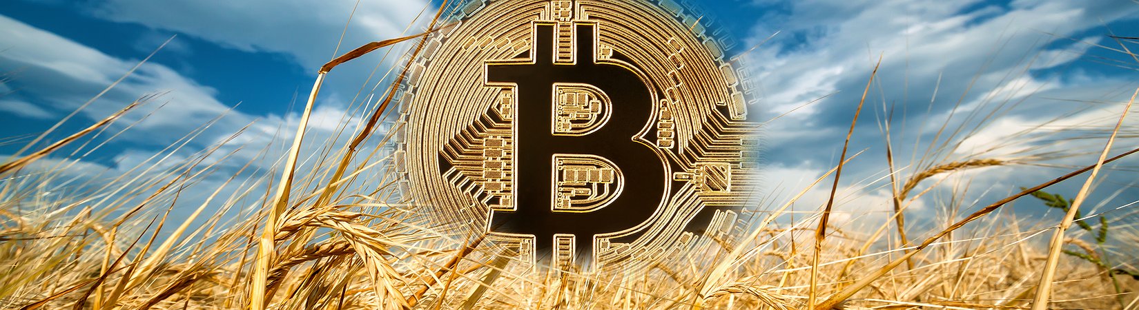 Bitcoin Price Surges by Roughly $1000 in Just 60 Minutes