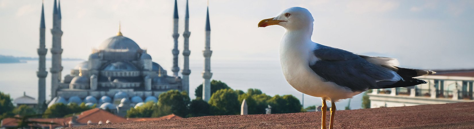 El hard fork de la red ethereum es pospuesto hasta principios de 2019