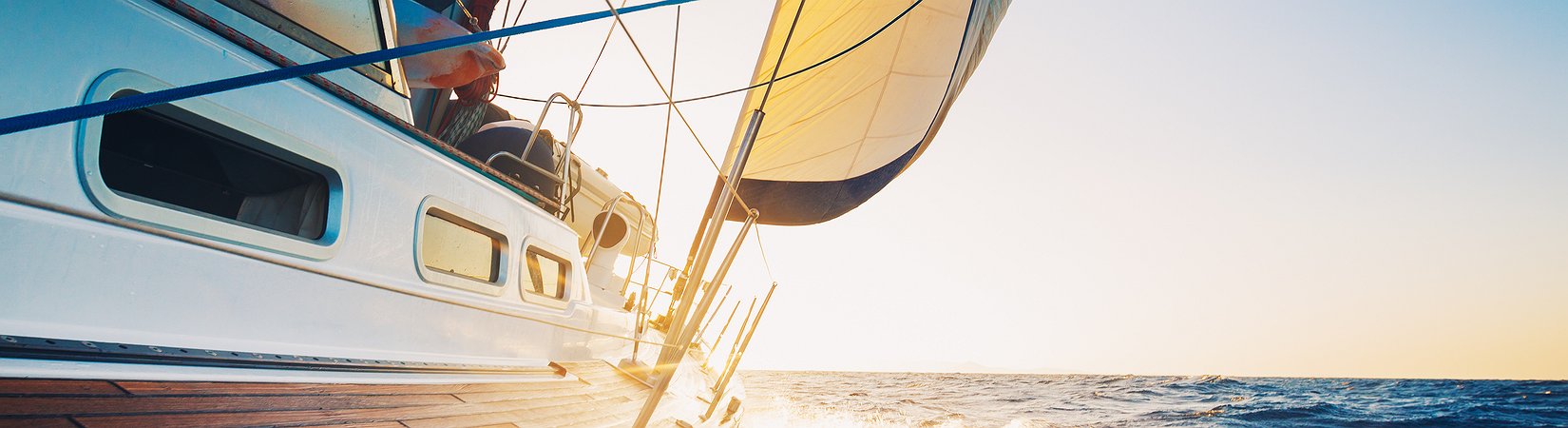 من يسيطرعلى كل مال العالم