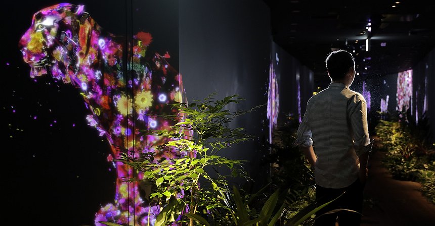 Мистер Порно: История одного из богатейших людей Японии