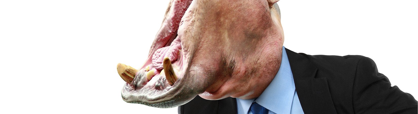 Kraken and Co. Hit Back at New York Prosecutor