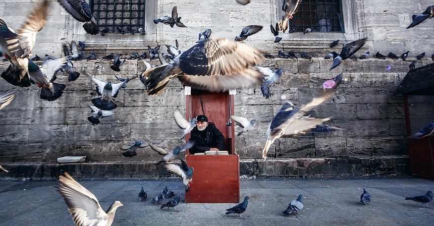 من اليابان إلى رومانيا: أين يقطن أكبر عدد من حاملي البيتكوين