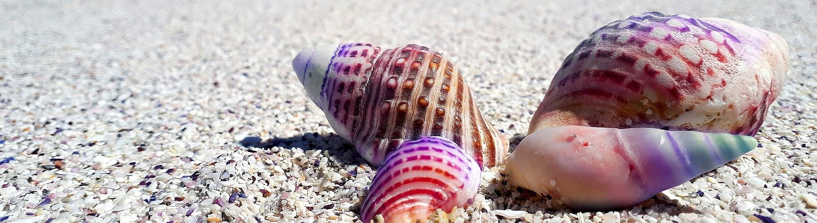 Four Uniswap Tokens That Should Be on Your Radar