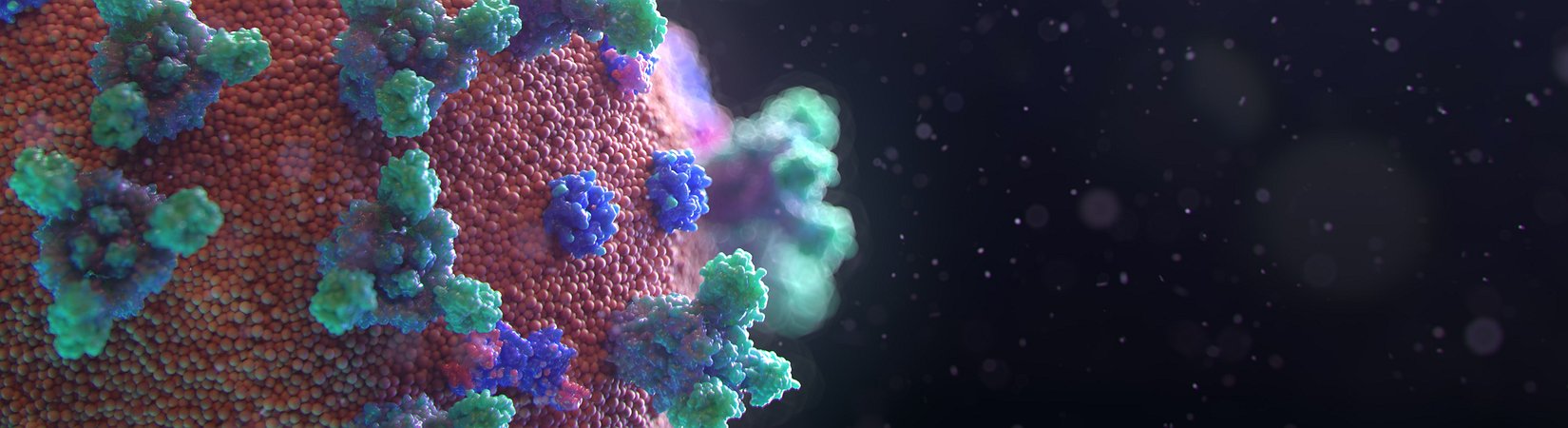 Principales noticias del 29/11/2021