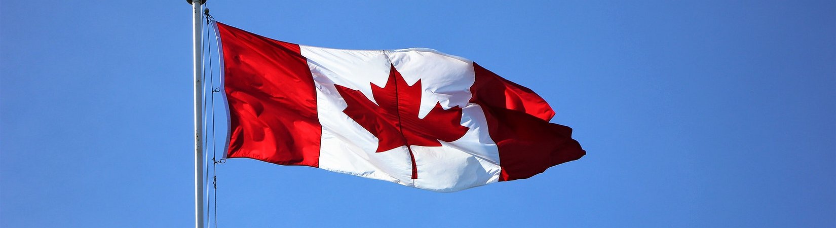 Bank of Canada Sees No Reason to Rush with CBDC