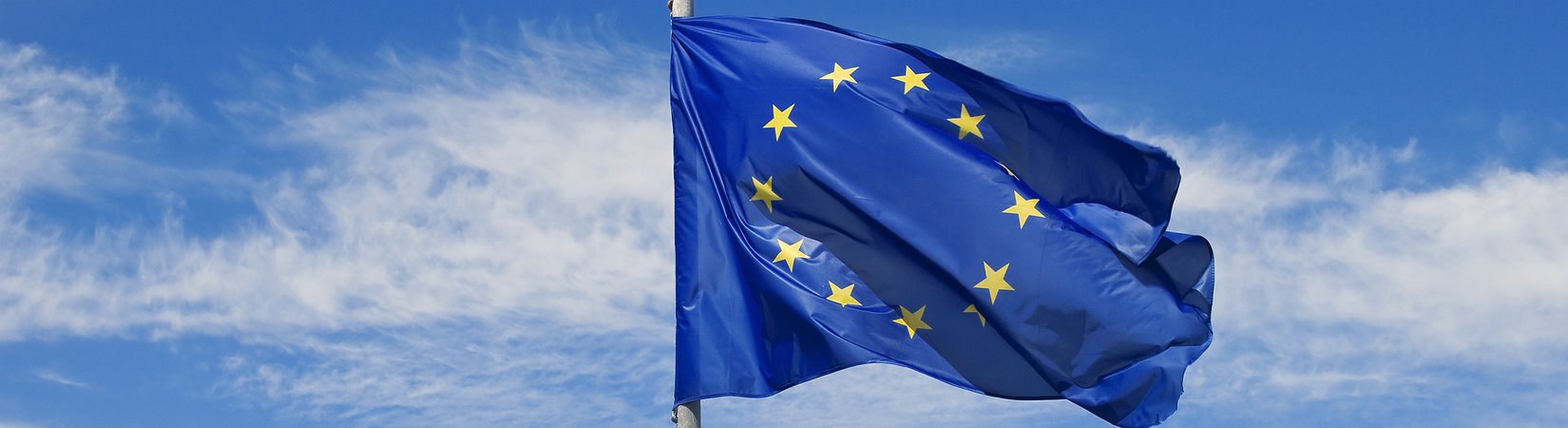 Eurozona, inflazione scende all’1,5%