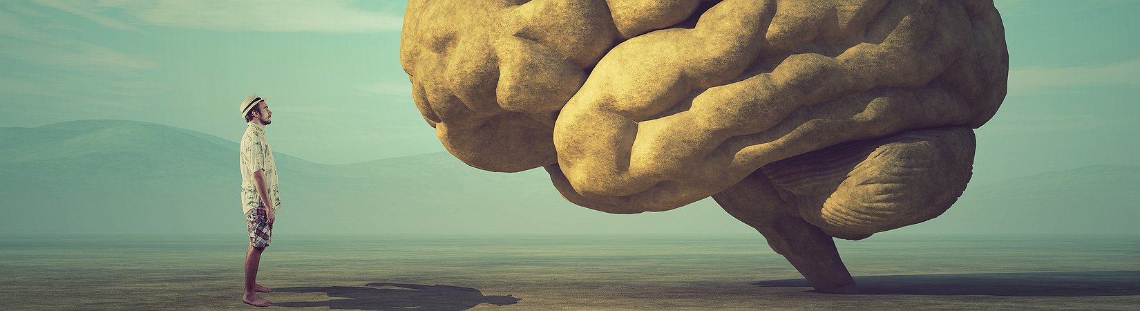 عشر قواعد المستثمر العاقل