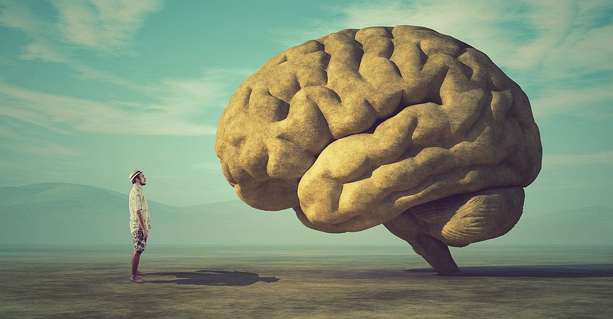 عشر قواعد المستثمر العاقل