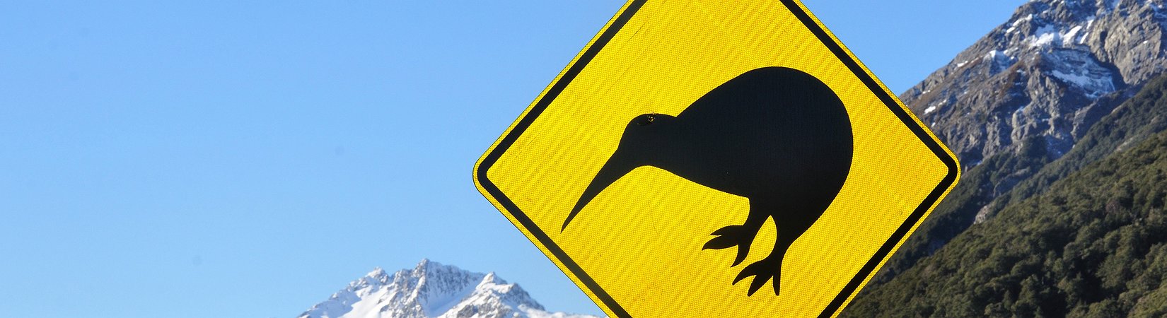 New Zealand Legalizes Crypto Salaries