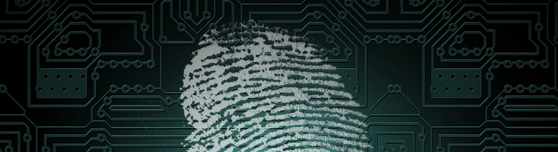 Cómo preservar nuestra privacidad en Internet