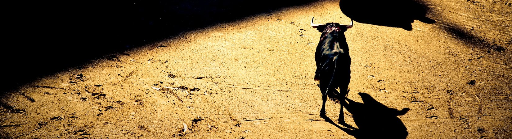 Toros, osos y puristas: ¿Quién controla la inversión en criptomonedas?