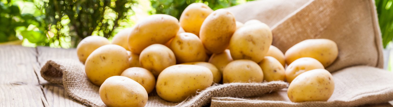 من الأفضل الاستثمار في البطاطس