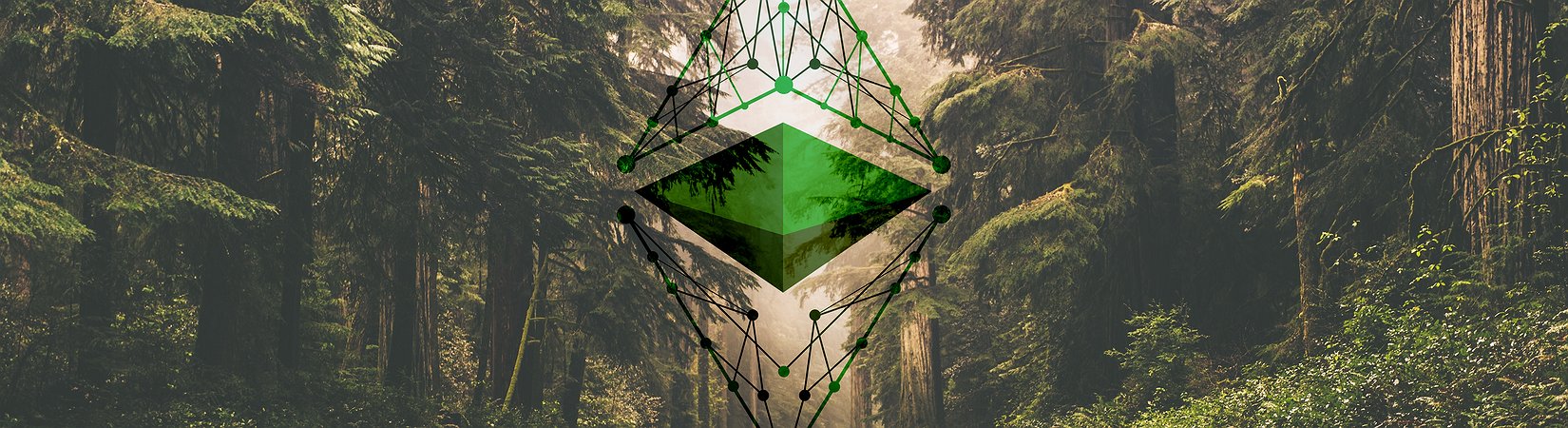 Ethereum vs. ethereum classic: cómo una criptomoneda se ha convertido en dos