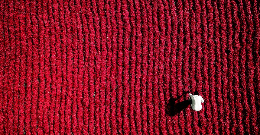 Mira el mundo como un dron a través de estas 10 extraordinarias fotografías