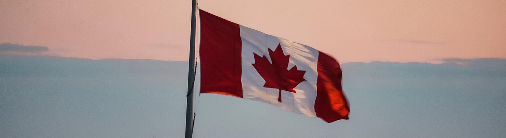 Canadian Tax Authority Asks EY to Provide Personal Data from 115,000 QuadrigaCX Users