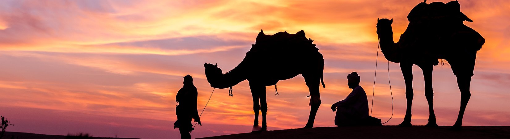 Il ribasso del petrolio ha lasciato Riyad senza riserve estere