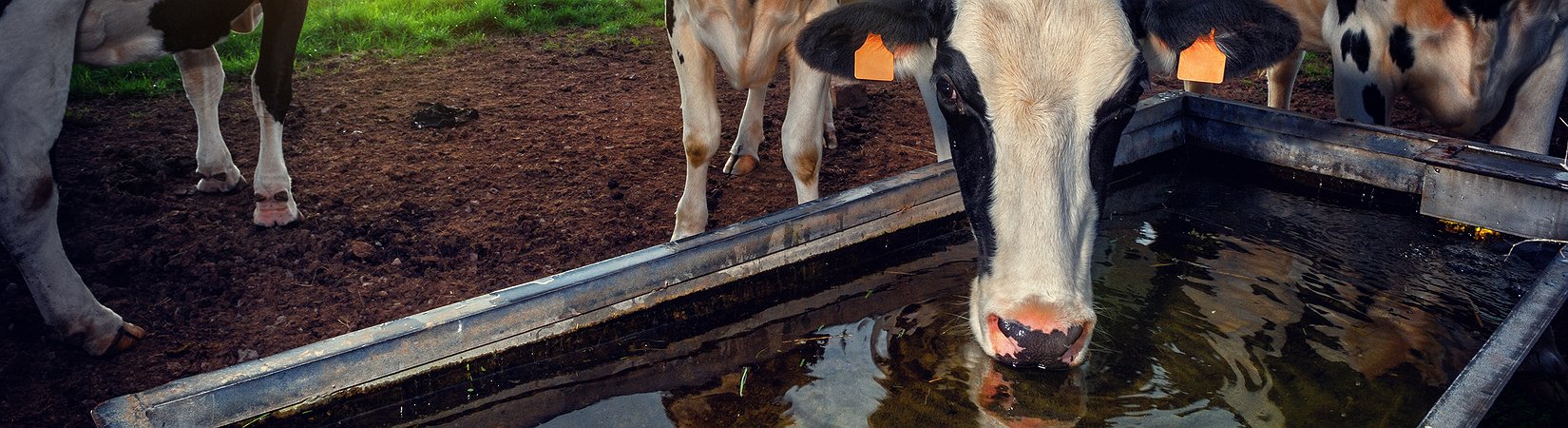 أين نصرف المياه