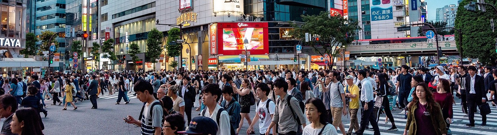 Japan Accelerates Exploration of CBDC to Compete with China