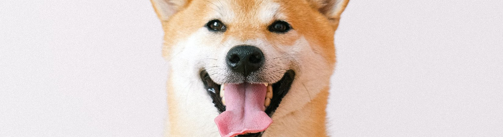 Gemini añade soporte para Dogecoin