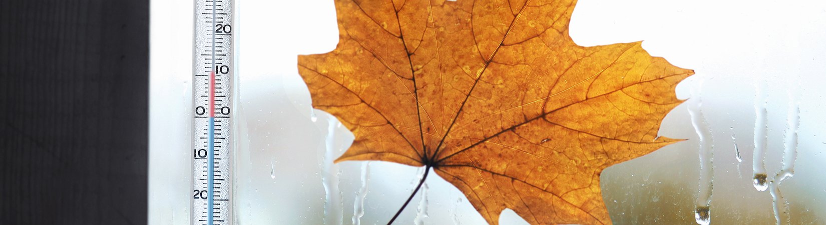 Le migliori previsioni controcorrente