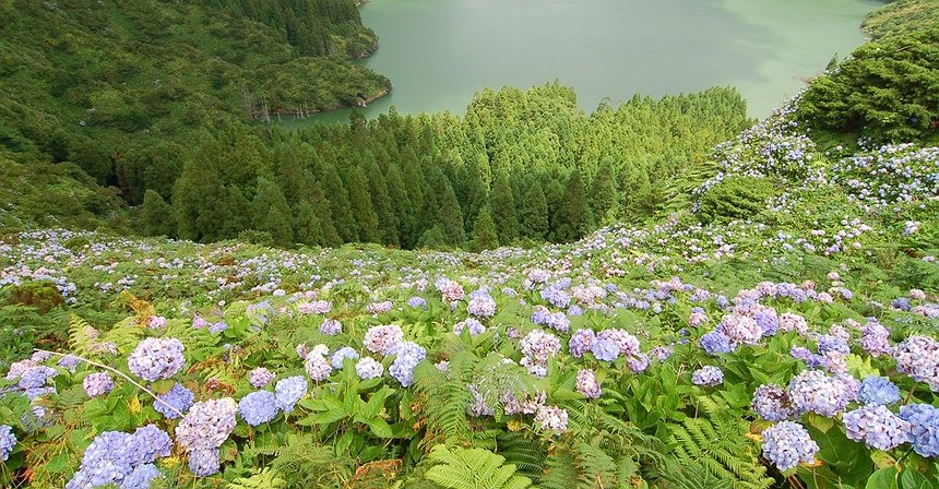 Ilha das Flores: um destino que provavelmente desconhece