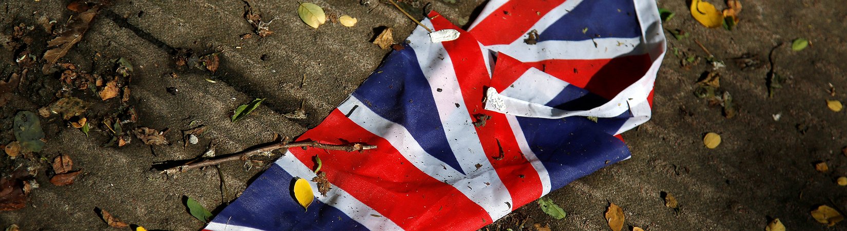 Brexit, le migliori reazioni su internet