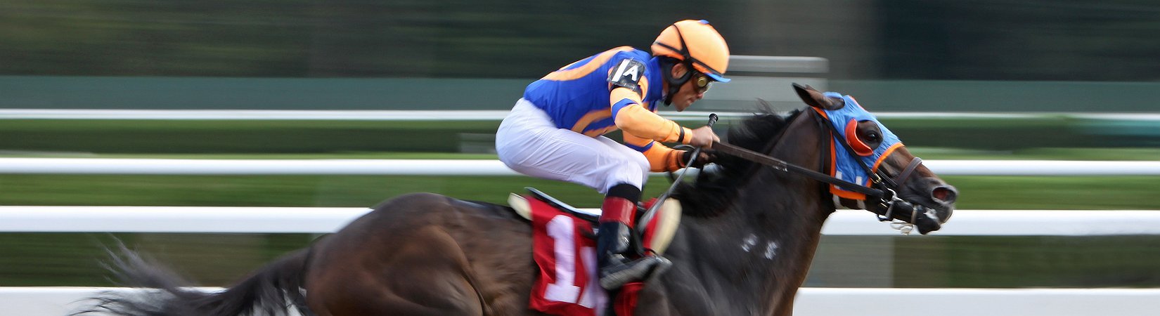 Cómo estos cuatro empresarios utilizan el deporte para mantenerse en cabeza en el trabajo