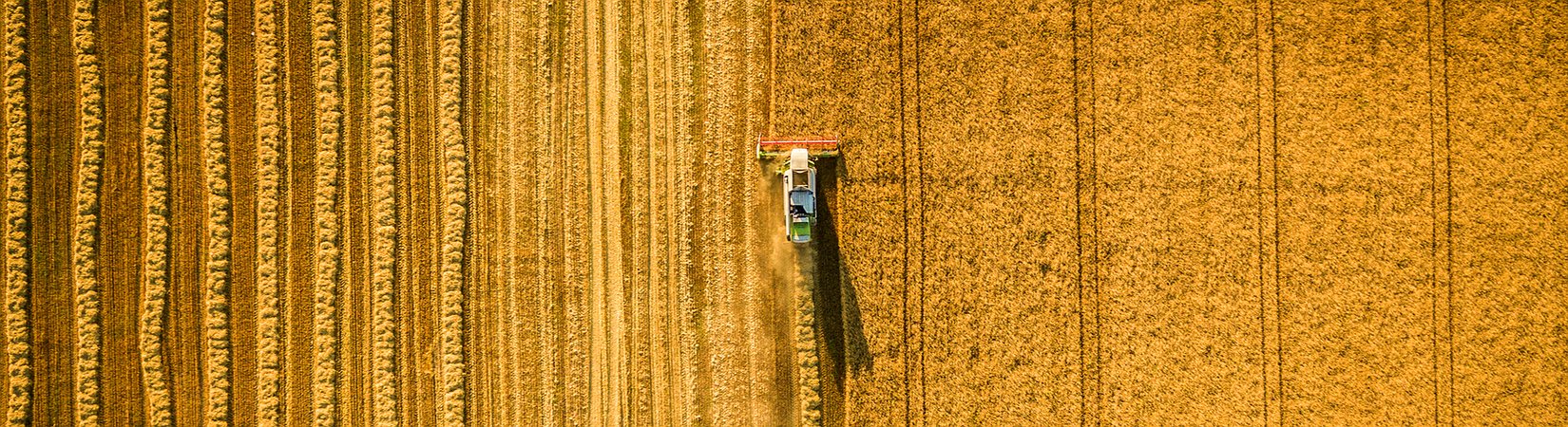 Grain on Blockchain — Agricultural Giants Change Rules