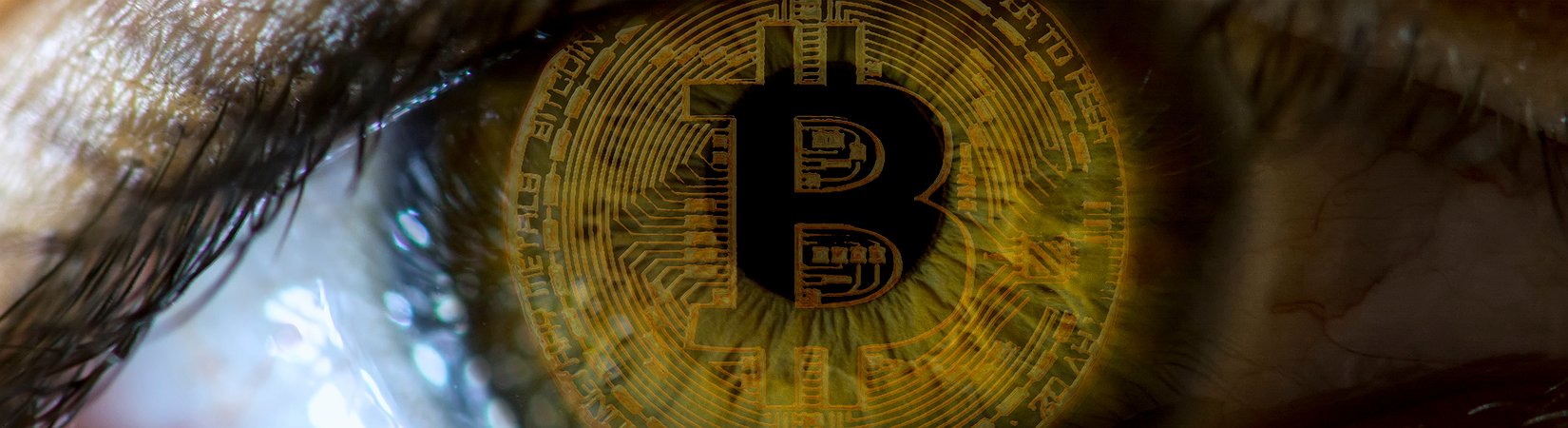 Las criptomonedas podrían convertirse en un medio de pago dentro de 10 años