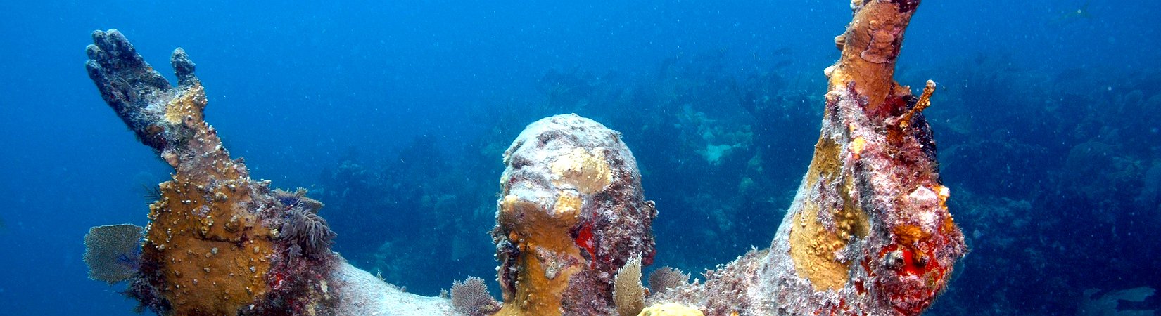 Encarar a economia global com uma nova mentalidade